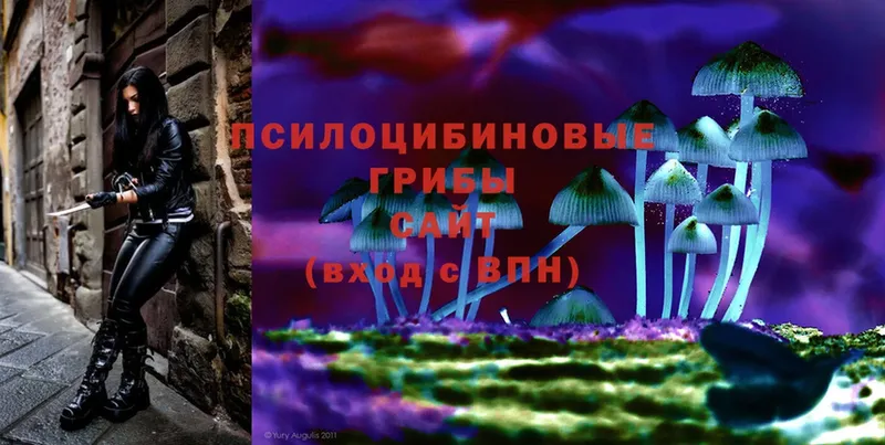 мега вход  Реутов  Псилоцибиновые грибы Magic Shrooms 